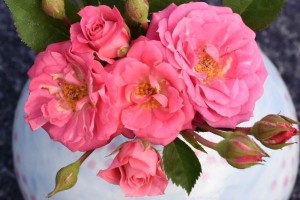 JUDY FISCHER (miniature)